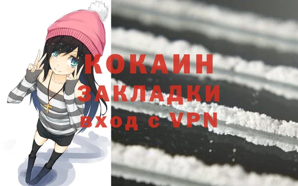 ГАЛЛЮЦИНОГЕННЫЕ ГРИБЫ Новозыбков