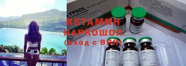ГАЛЛЮЦИНОГЕННЫЕ ГРИБЫ Новозыбков