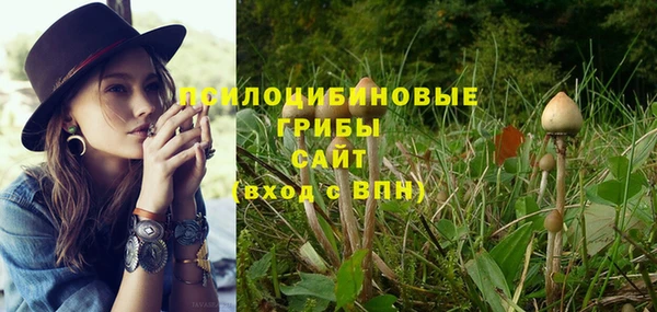 ГАЛЛЮЦИНОГЕННЫЕ ГРИБЫ Новозыбков