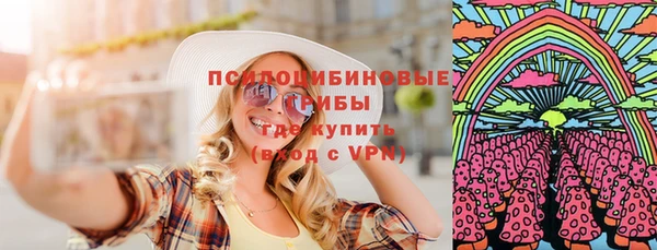ГАЛЛЮЦИНОГЕННЫЕ ГРИБЫ Новозыбков