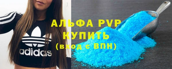 ГАЛЛЮЦИНОГЕННЫЕ ГРИБЫ Новозыбков