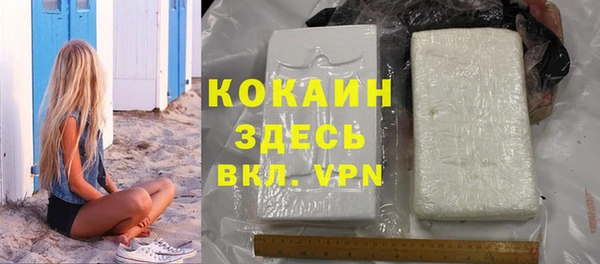ГАЛЛЮЦИНОГЕННЫЕ ГРИБЫ Новозыбков